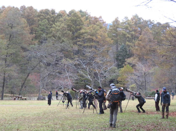 photo2野鳥観察の人たち