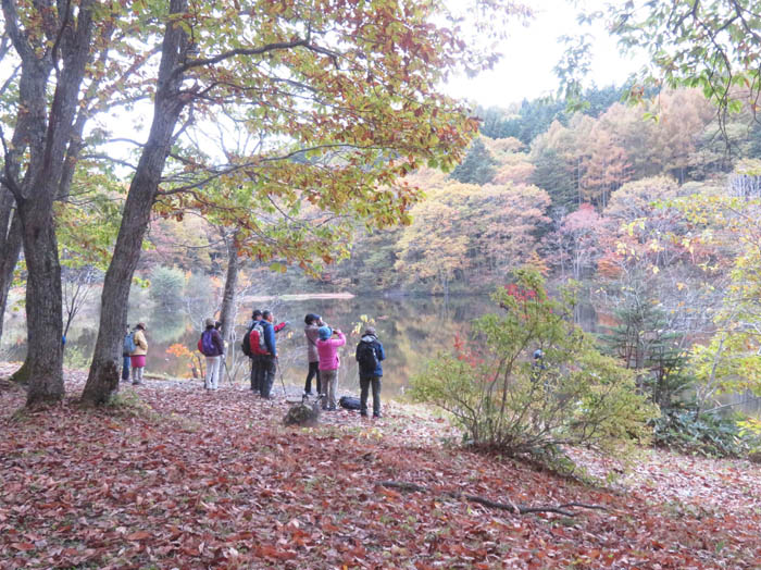 photo3小鳥ヶ池で水鳥を見る