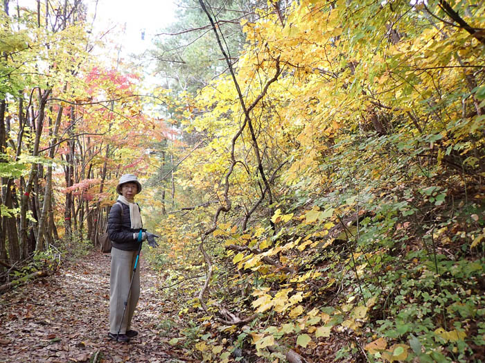 photo5秋色になってきた登山道