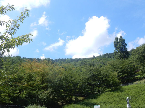 photo：地附山公園から