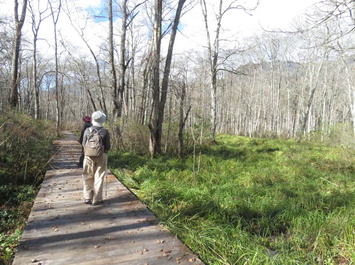 photo4静かな森林植物園