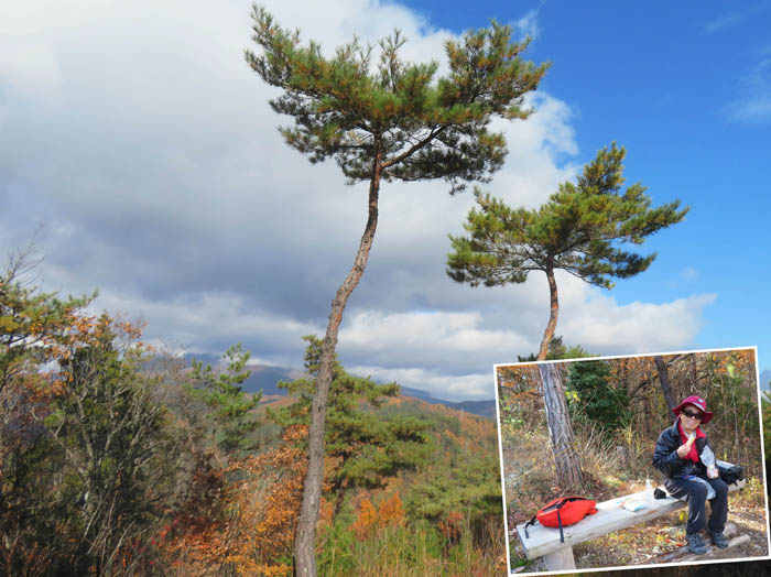 photo16飯縄山は雲の中