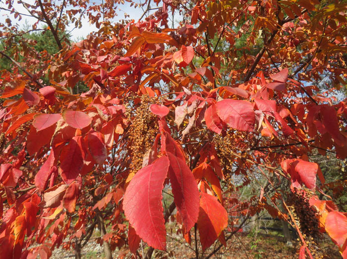 photo6黄色の中に入っていく