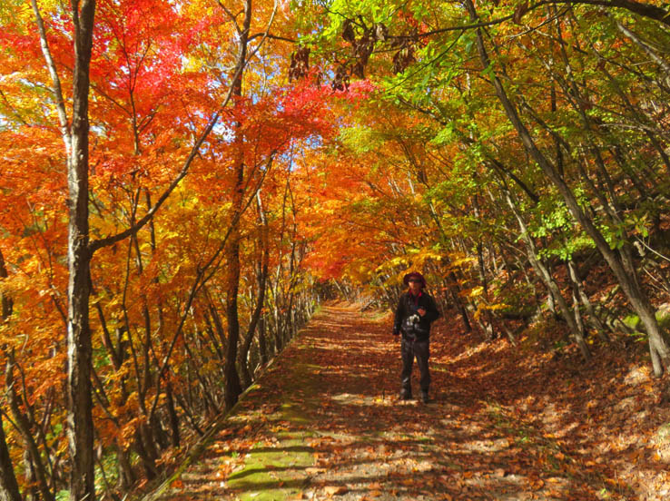 photo3登山道は真っ赤