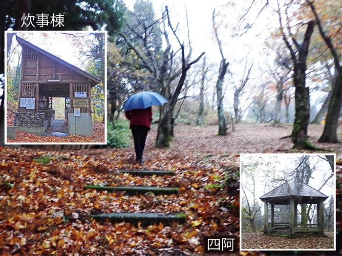 photo13桝形山自然公園