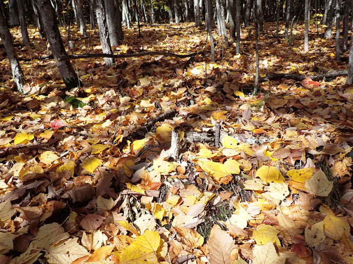 photo斜めに差し込む日差し