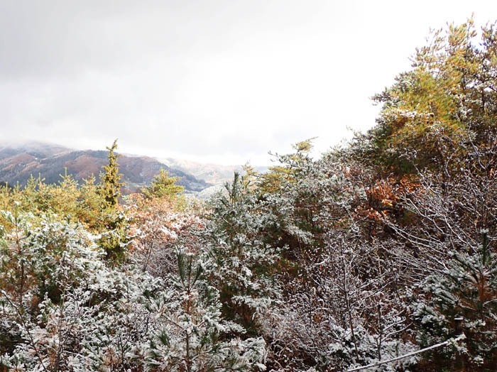 photo5山頂の雪が光る