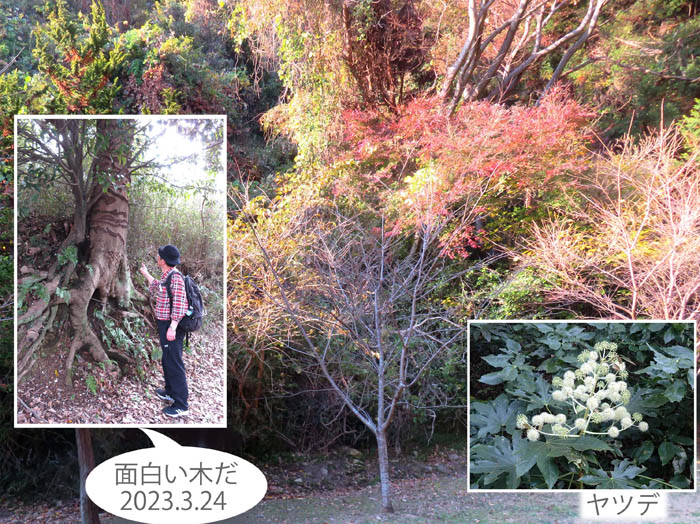 photo1南郷上ノ山公園