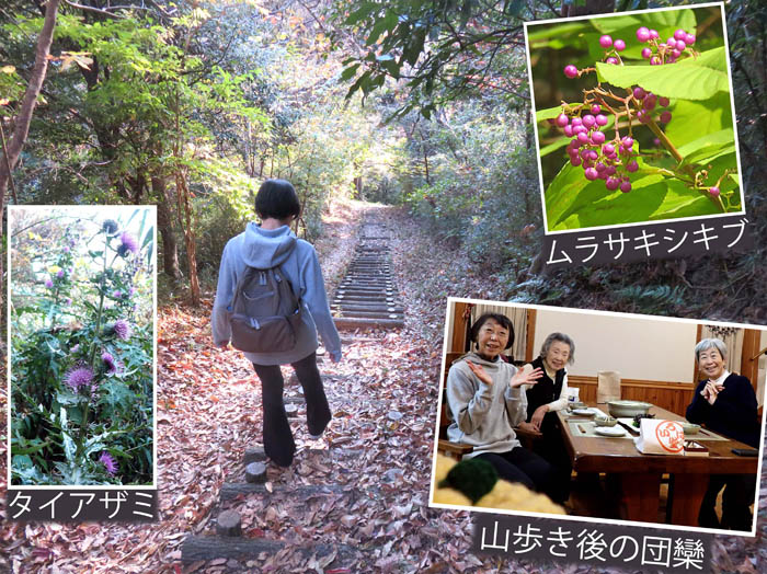 photo16こっちの道から帰ろう