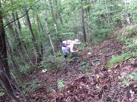 キノコは取らず、撮るだけ・薬山