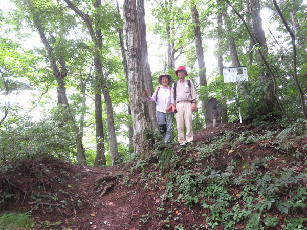 薬山の山頂部