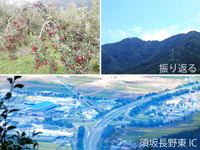 photo：りんご畑の中をテクテク歩く・若穂太郎山