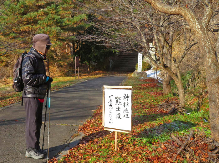 photo6熊の散歩道？