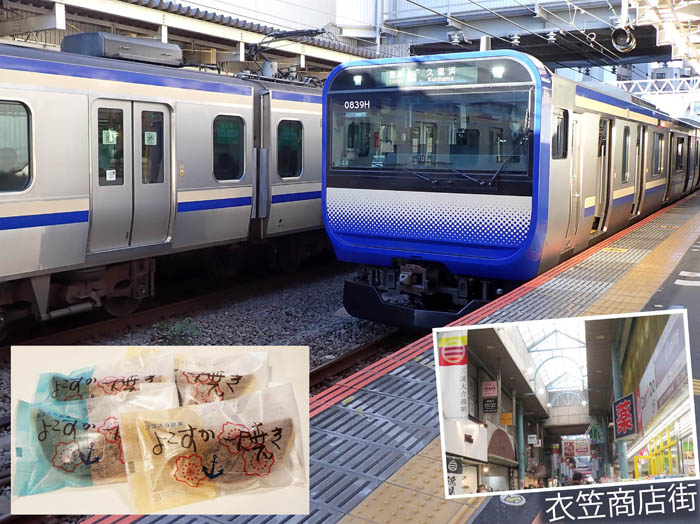 photo16横須賀線に乗って