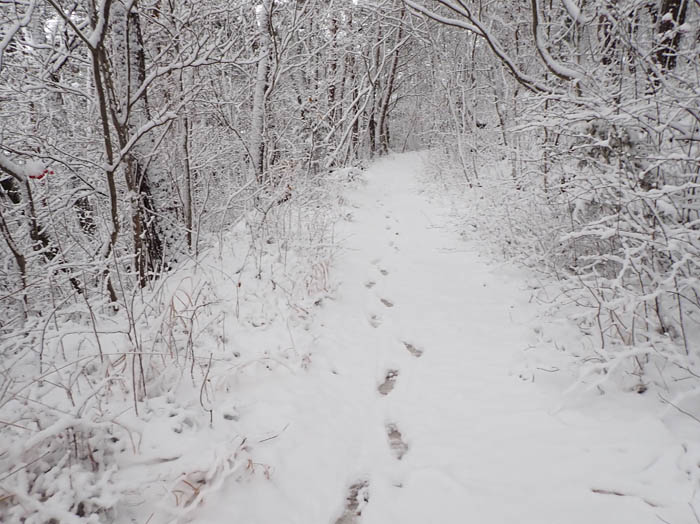 photo4真っ白い道に自分の足跡だけ