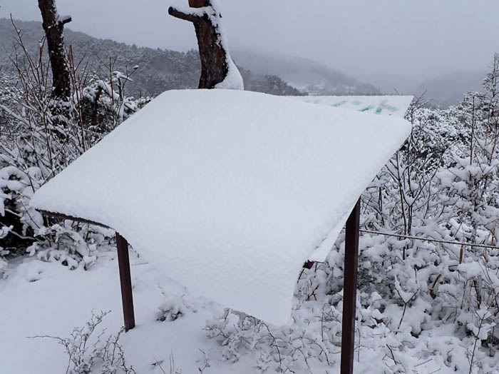 photo8ずり落ちそうな雪の幕