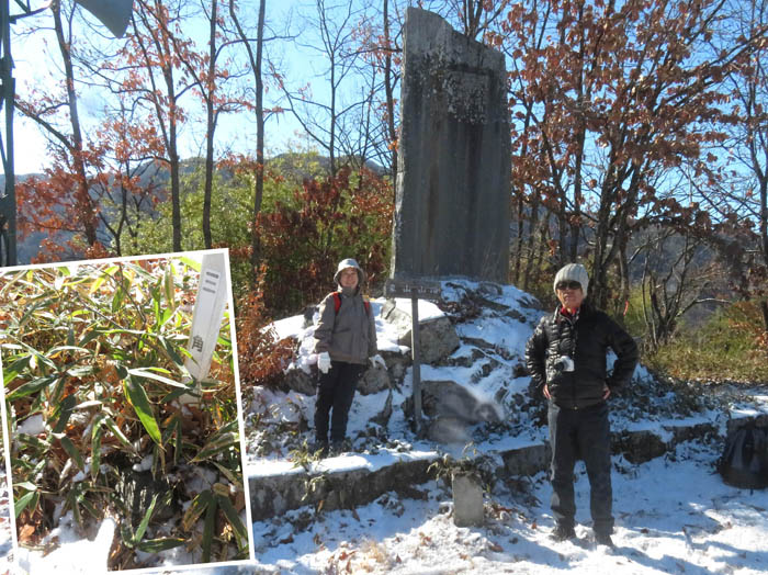 photo10象山山頂の草に埋もれた三角点