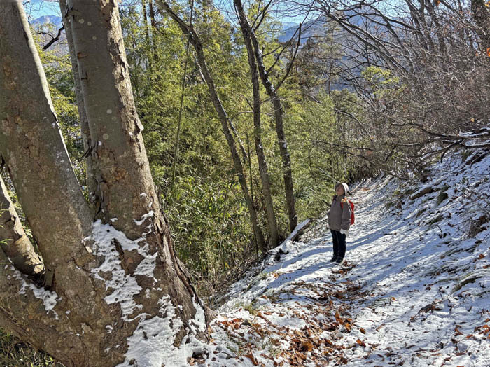 photo15大きな木だなぁ