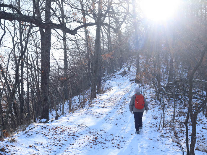 photo7展望広場まであと少し