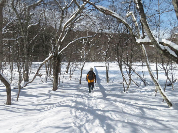 photo1湿原に向かう