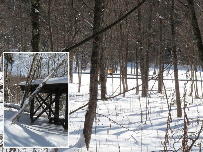 photo13周遊路奥の四阿から木道を見る