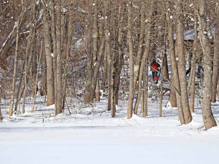 photo14湿原中央の木道から四阿