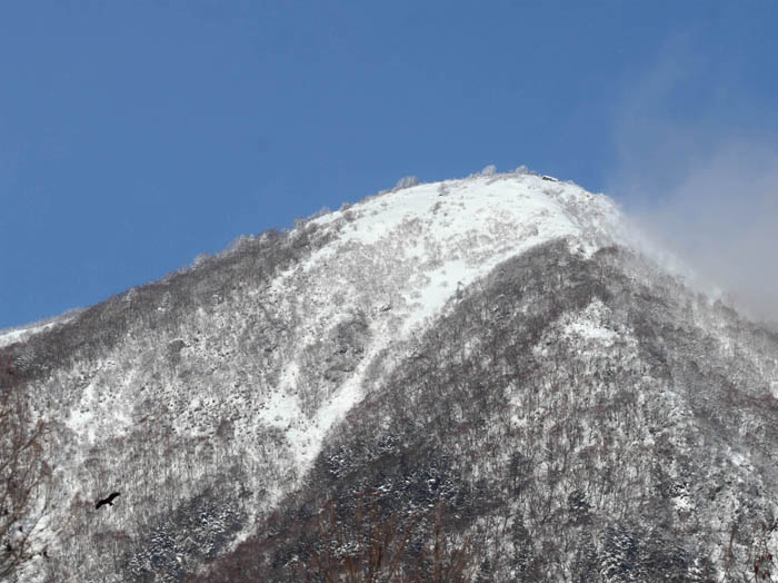 photo6飯縄山山頂手前のピーク