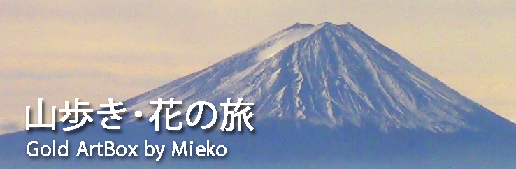 「山歩き・花の旅」Click=戻る