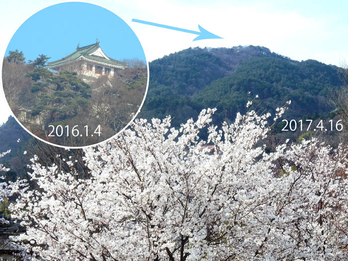 写真・城山公園から大峰山