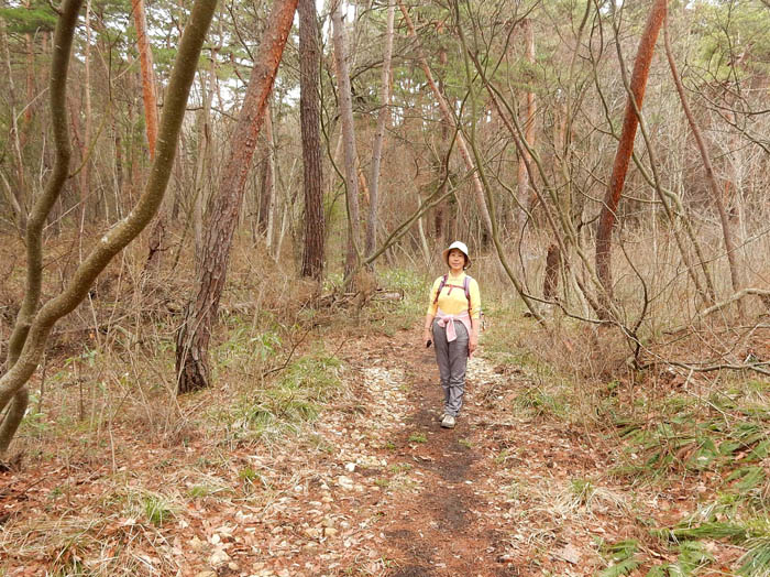 写真・冬の名残の森：大峰山