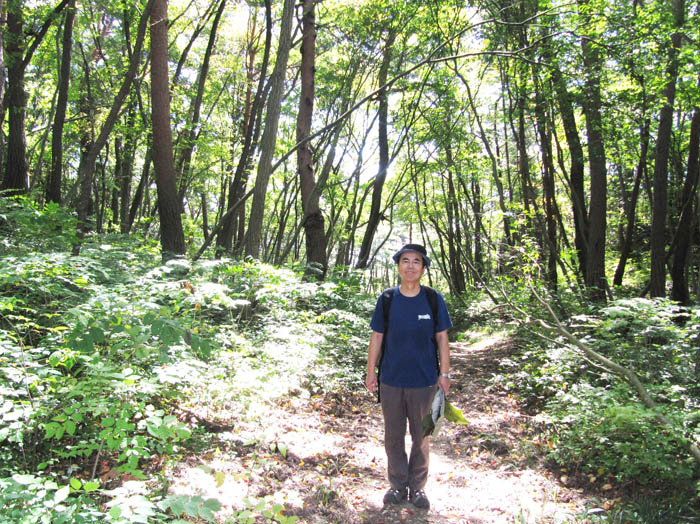 写真・緑こい森：大峰山