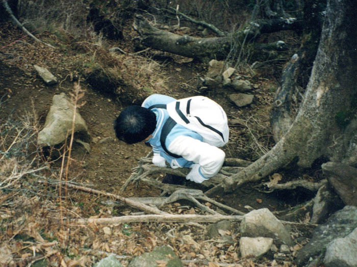 photo：ぐんぐん落ちるように降る：天城山