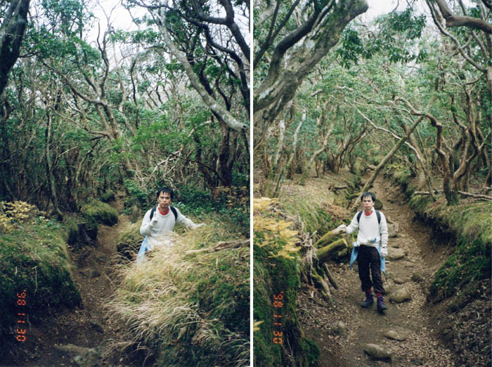 photo：えぐれてしまった登山道：天城山