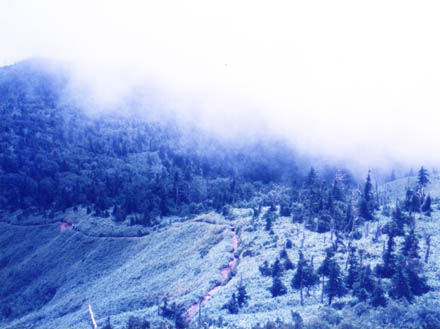 photo：登ってきた道を振り返る：岩菅山