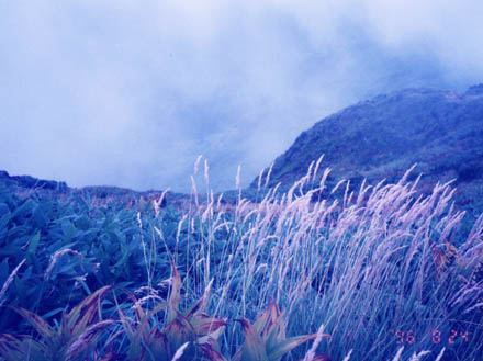 photo：山頂から見下ろす：岩菅山
