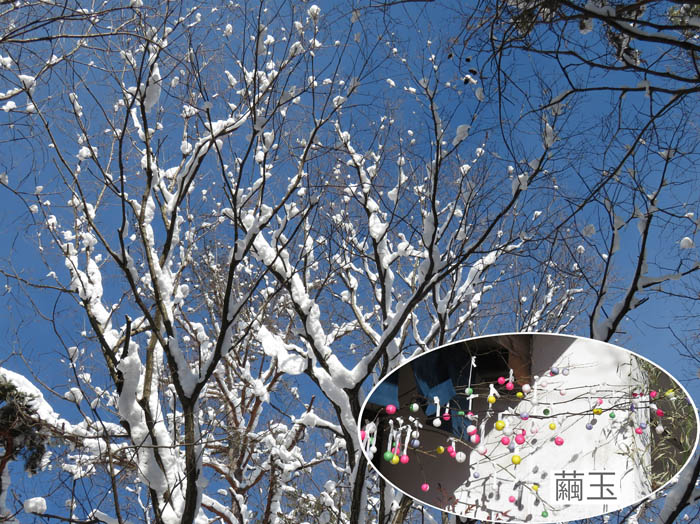 photo：天然の繭玉みたい：雪の地附山