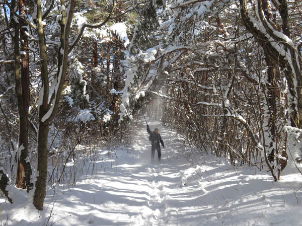 photo：雪の煙幕だ：雪の地附山