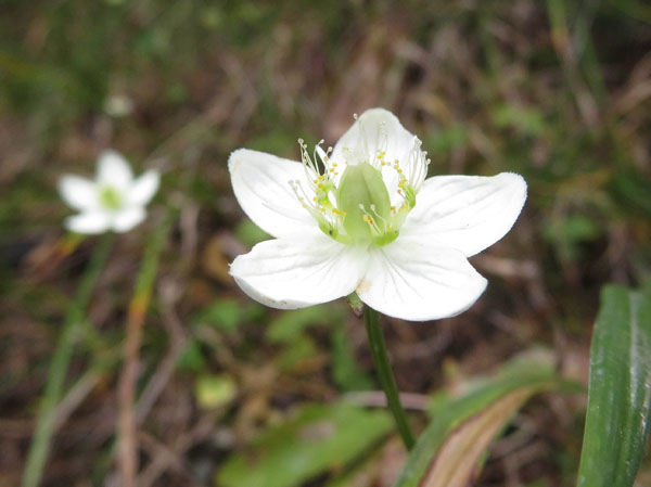 photo：・地附山