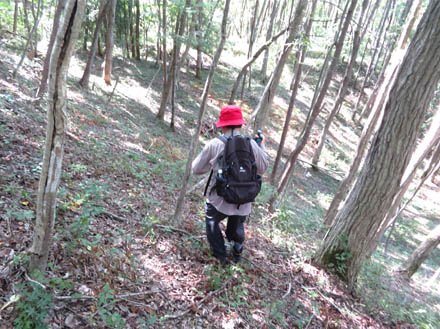 photo：道なき斜面に遊ぶ・茶臼山