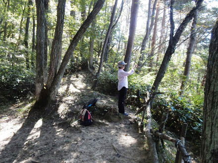 photo：展望台から・茶臼山