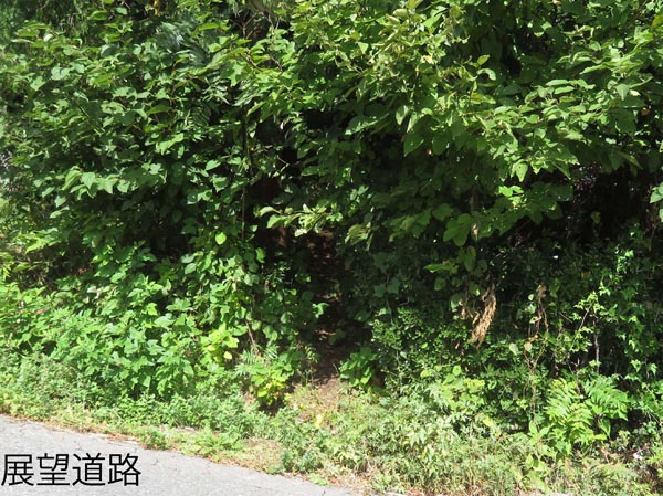 photo：木で隠れている登山口・地附山