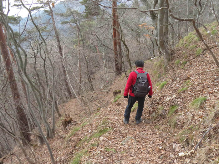 photo14山頂下の降り