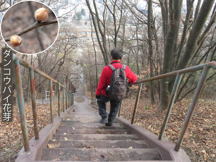 photo16夏目ヶ原親水公園の急な階段