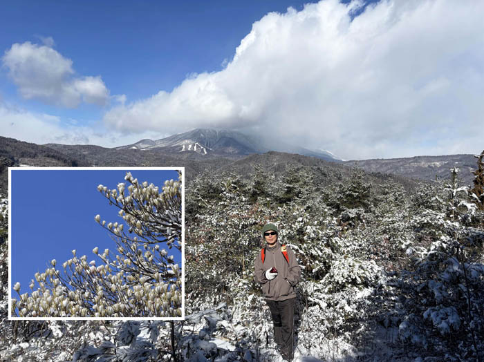 photo15雪が乗った梢/地附山
