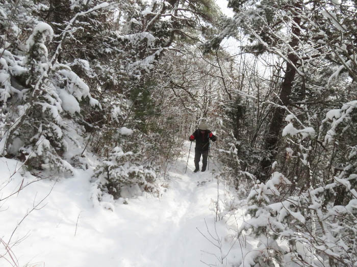 photo雪中登山1/地附山