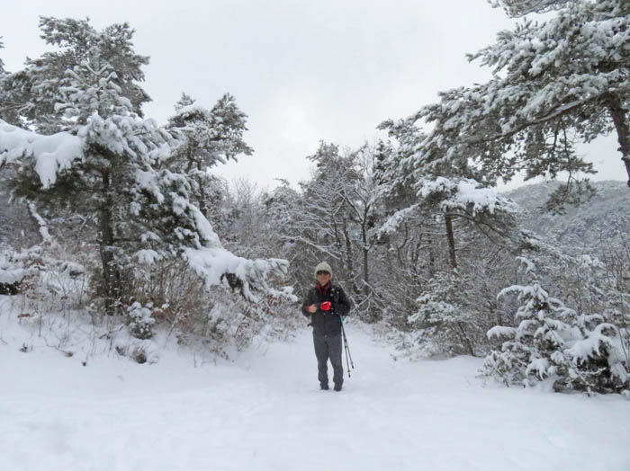 photo雪中登山2/地附山