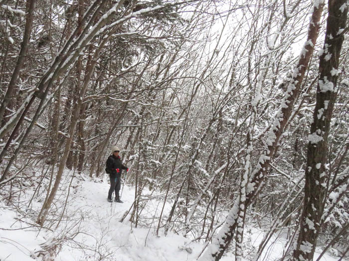 photo雪中登山4/地附山