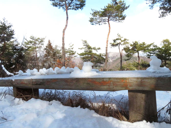 photo3山頂に残されたダルマさん/地附山