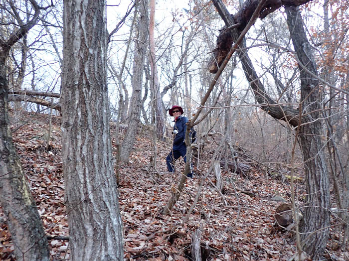 photo3茶色の中を登る