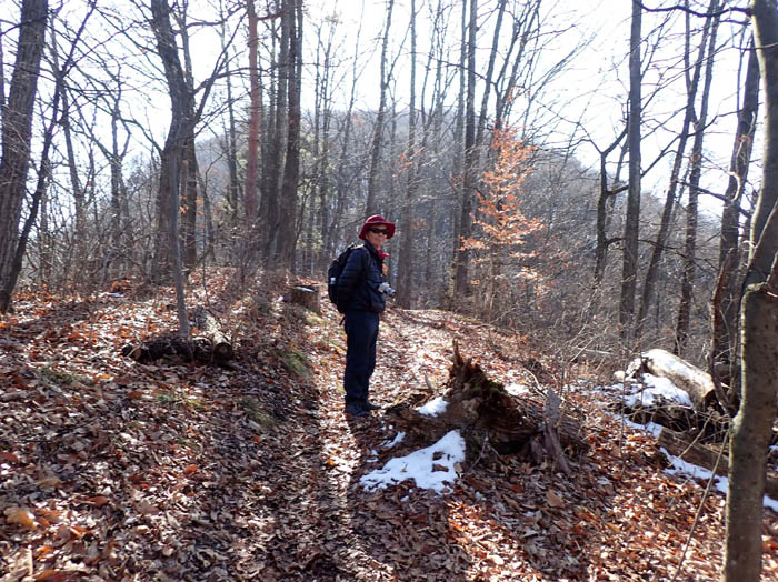 photo6有明山山頂部が見えてきた